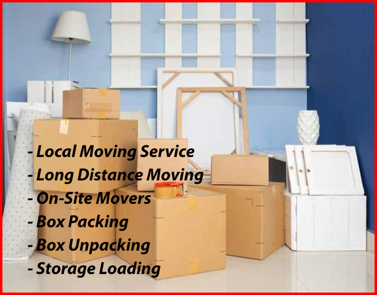 Packers And Movers Noida Sector 163